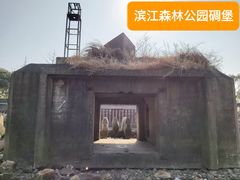 -上海滨江森林公园