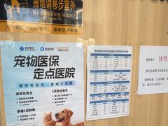 -宠福鑫康馨动物医院·骨科·眼科