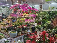 -三旗百汇商品城