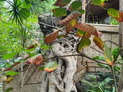 -北京植物园-展览温室