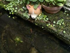 -茶米人台湾料理·精致快简餐