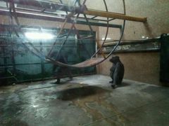 -石家庄市动物园