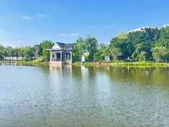 -映月湖公园