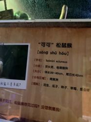 -未来动物城主题公园(正弘城店)