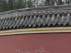 -桂湖森林公园