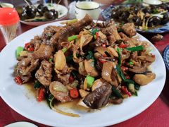 -生态苑农庄(十里画廊遇龙河店)