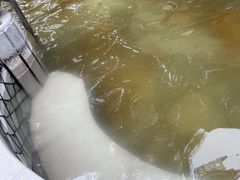-碧水湾温泉