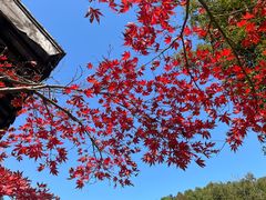 -穹窿山景区
