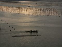 -北岐滩涂