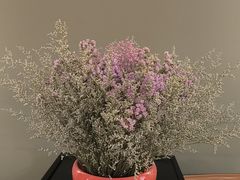 -长安记·大美陕菜(大族广场店)