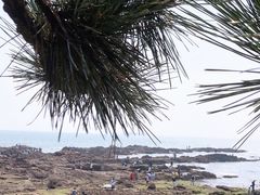 -青岛第二海水浴场