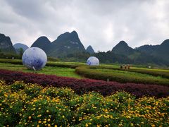 -靖西鹅泉风景区