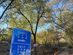 -白水寺森林公园