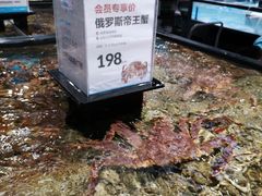 -盒马鲜生(曜一城店)