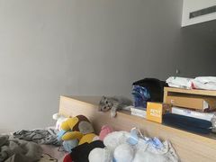 -宠颐生宠物医院·犬猫全科·皮肤科(商业街店)