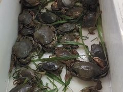 -南沙十九涌渔人码头-南门