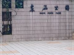 -东风公园