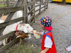 -前小桔亲子创意农场·草莓采摘·露营烧烤