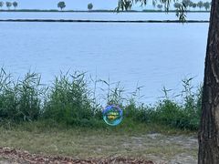 -合肥滨湖国家森林公园