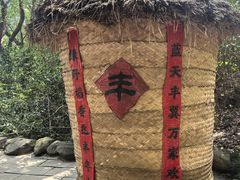 -天目湖山水园