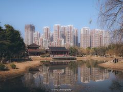 -堤角公园