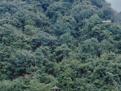 -靖西鹅泉风景区