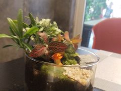 -利星行天竺之星汽车有限公司
