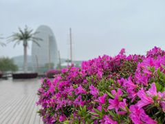 -湖州太湖旅游度假区-月亮广场
