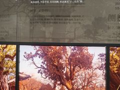 -晋祠博物馆