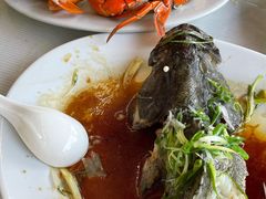 -哈味食店(外伶仃岛店)