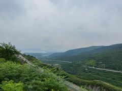 -金台阶鱼馆(于桥水库店)