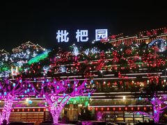 -枇杷园食为鲜火锅(南山店)
