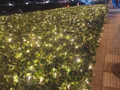 -肆月河豚·新淮扬(金融街店)
