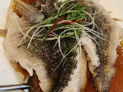 笋壳鱼-顺风海鲜港(金玉兰店)