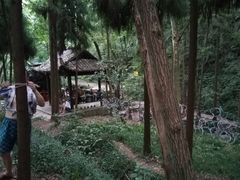 -青城山