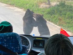 -太原动物园