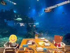 -涛·海底餐厅·美人鱼·自助餐·海底隧道(三亚海棠湾洲际度假酒店)
