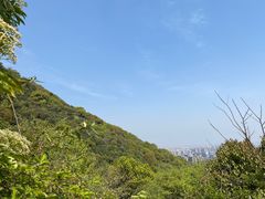 -杭州半山国家森林公园