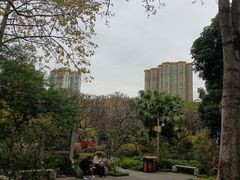 -晓港公园