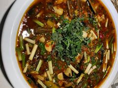 -院8里·小聚园老川菜(九眼桥店)