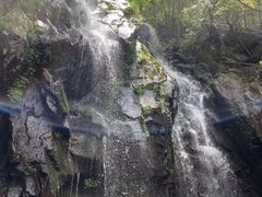 -藏龙百瀑风景区