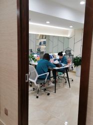 -碧莲盛·不剃发植发