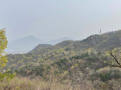 -北京鹫峰国家森林公园