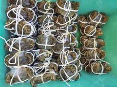 -蟹天蟹地农家菜·阳澄湖大闸蟹(浅水湾店)