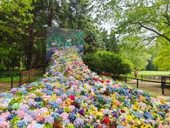 -上海共青森林公园