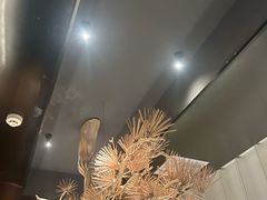 -新紫霞养生·影院足道·SPA(金山区店)