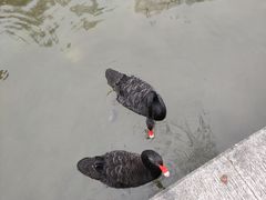 -杭州师范大学(下沙校区)