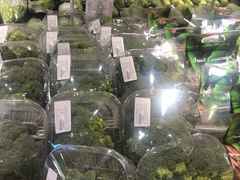 -物美超市(金宝街店)