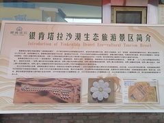 -银肯塔拉沙漠生态旅游景区
