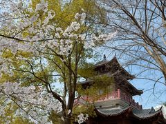 -堤角公园